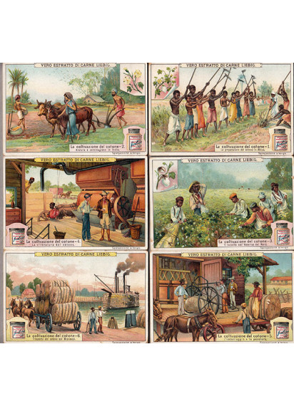 1909 - Liebig Sang. 952 - La coltivazione del cotone